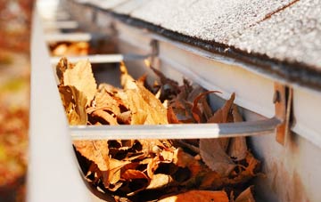 Burcot gutter cleaning companies