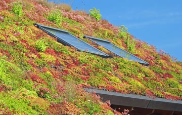 Burcot living roof systems