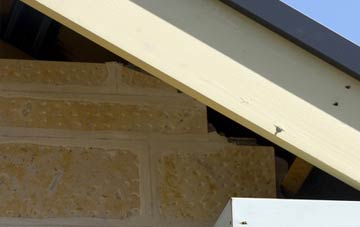 soffit repair Burcot