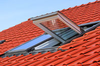 Burcot roof window
