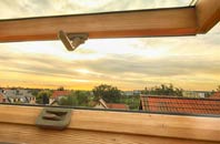 rated Burcot roof window companies